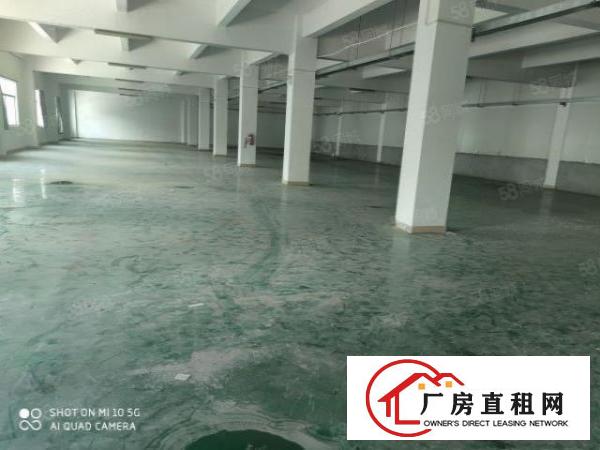  塘厦镇厂房出租大坪高速出口独门独院8000平方