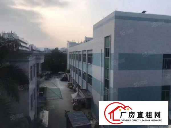  塘厦林村新出独院厂房共4980平，现成水电装修电梯。整租15