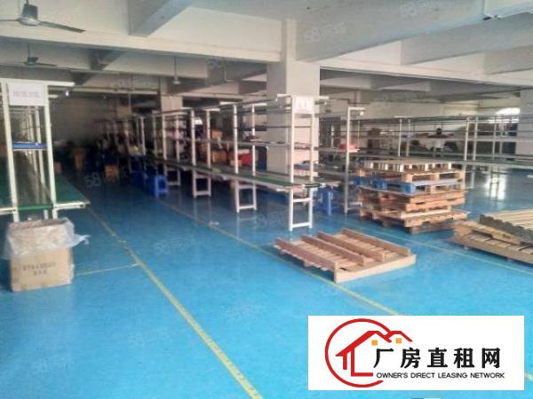 原房东实际面积塘厦镇凤凰岗三楼1500平米精装修厂房出租