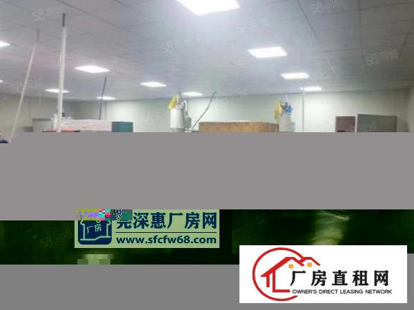  塘厦钢构小独院1000平一厂在手，生产生活住食一站式