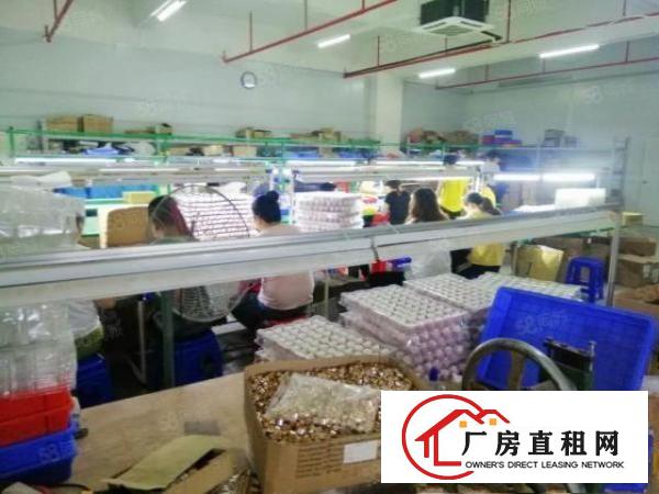  塘厦石鼓780平厂房出租！有消防喷淋，交通便利。
