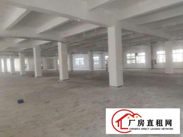  塘厦科苑城楼上新空2500平方，面积实在，干净整洁，格局方正