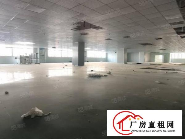  塘厦太阳城工业区楼上3000平可做电池500起分租厂房出租