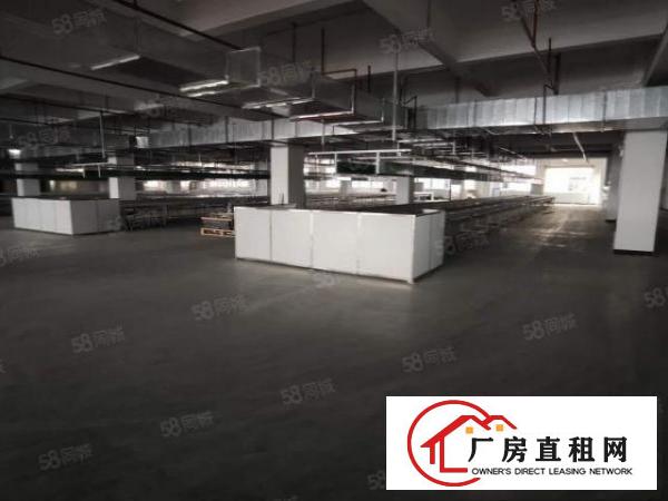  塘厦太阳城工业区楼上3000平可做电池500起分租厂房出租