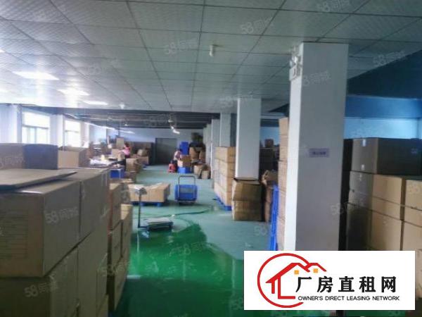  塘厦四村高科技工业区工业园二楼1300平方免转让费