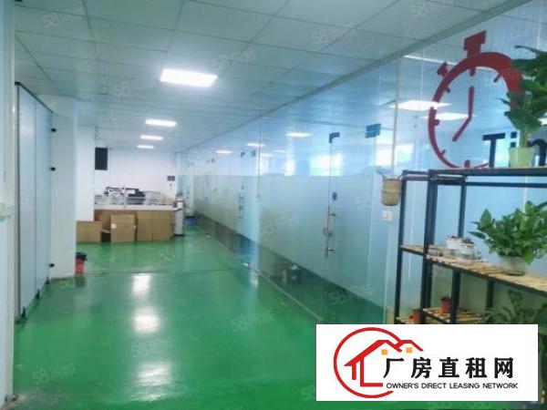  塘厦四村高科技工业区工业园二楼1300平方免转让费