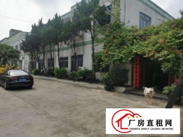 塘厦四村高科技工业区工业园二楼1300平方免转让费
