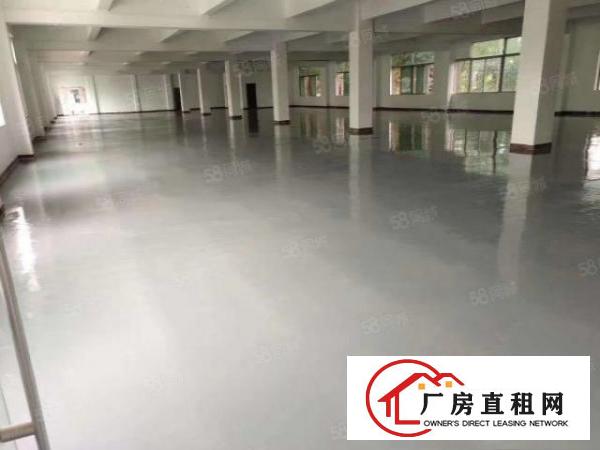  塘厦沙湖工业区标准2楼2000平方！形象大气！蹭亮地坪漆精装