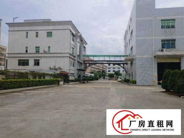  塘厦沙湖工业区标准2楼2000平方！形象大气！蹭亮地坪漆精装