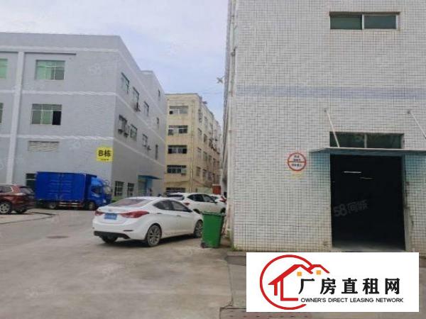  塘厦沙湖工业区标准2楼2000平方！形象大气！蹭亮地坪漆精装