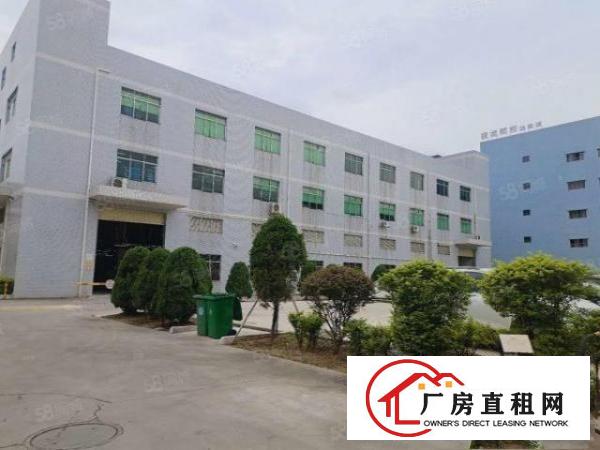  塘厦沙湖工业区标准2楼2000平方！形象大气！蹭亮地坪漆精装
