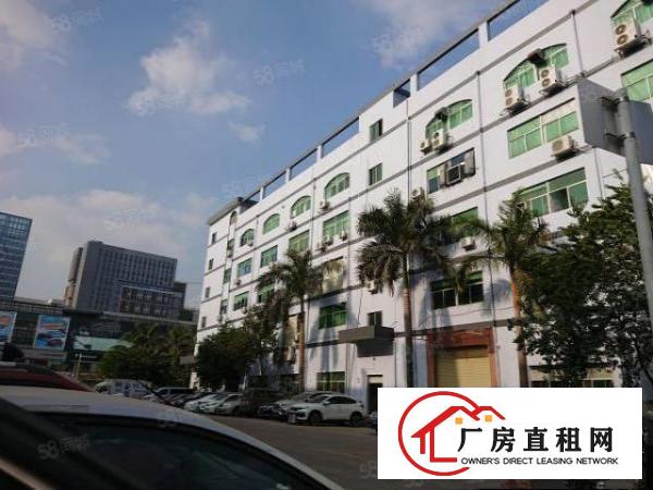  塘厦林村新阳路新三楼厂房800平米