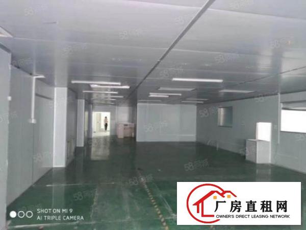  塘厦新出1300平无尘车间无转让费拎包入住