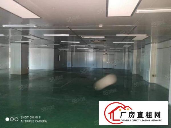  塘厦新出1300平无尘车间无转让费拎包入住