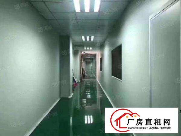  塘厦新出1300平无尘车间无转让费拎包入住