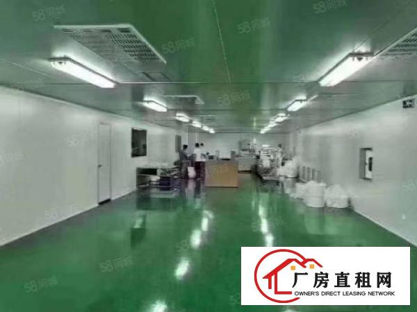  塘厦新出1300平无尘车间无转让费拎包入住