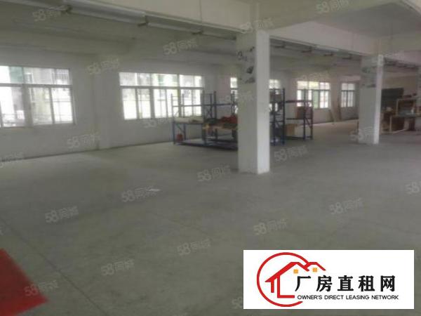  塘厦清湖头标准2楼800平方！实拍视频和图片！办公室精装修