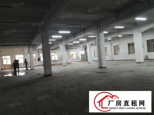  塘厦镇中心原房东一楼厂房700平方，实际面积，超大空地