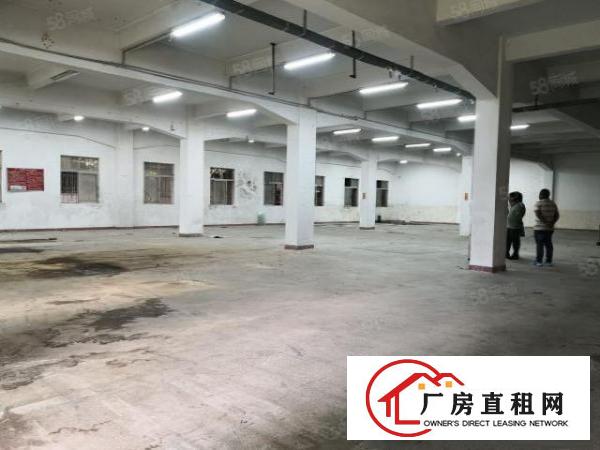  塘厦镇中心原房东一楼厂房700平方，实际面积，超大空地
