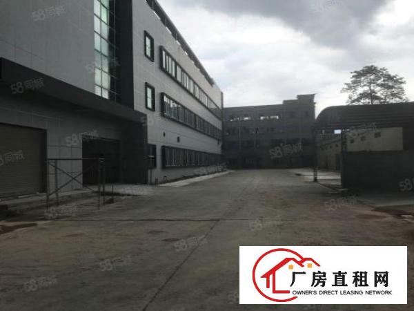  塘厦振兴围原房东直租独栋厂房3000平方！无公摊！现成装修