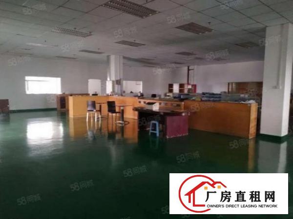  塘厦振兴围原房东直租独栋厂房3000平方！无公摊！现成装修