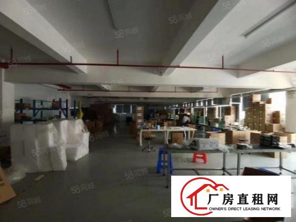  塘厦沙湖工业园标准2楼1450平方！大气前台！精装修办公室！