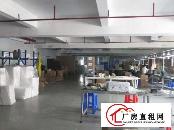  塘厦沙湖工业园标准2楼1450平方！大气前台！精装修办公室！