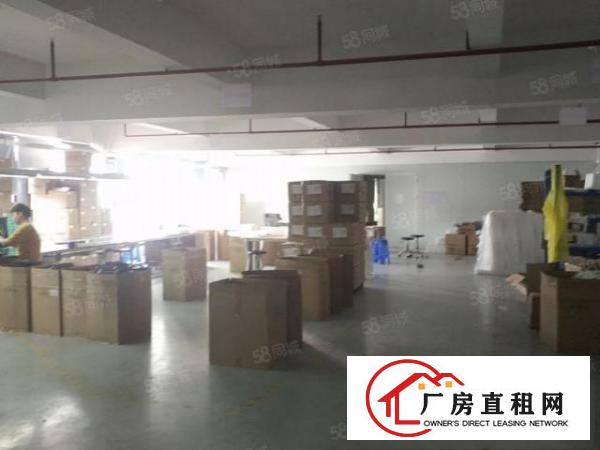  塘厦沙湖工业园标准2楼1450平方！大气前台！精装修办公室！