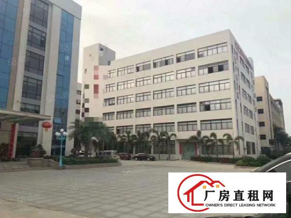  塘厦沙湖工业园标准2楼1450平方！大气前台！精装修办公室！