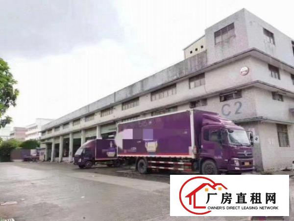  塘厦沙湖靠近观澜桂花，独栋单一层2400平滴水11米