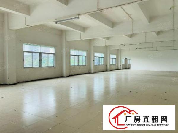  塘厦振兴围新出7380经典独门独院配套齐全形象好