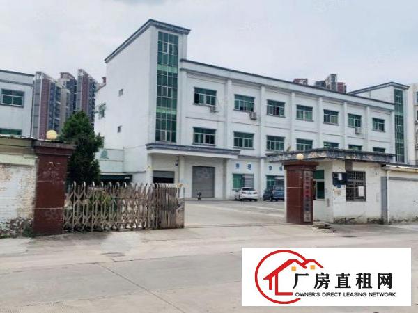 塘厦振兴围新出7380经典独门独院配套齐全形象好