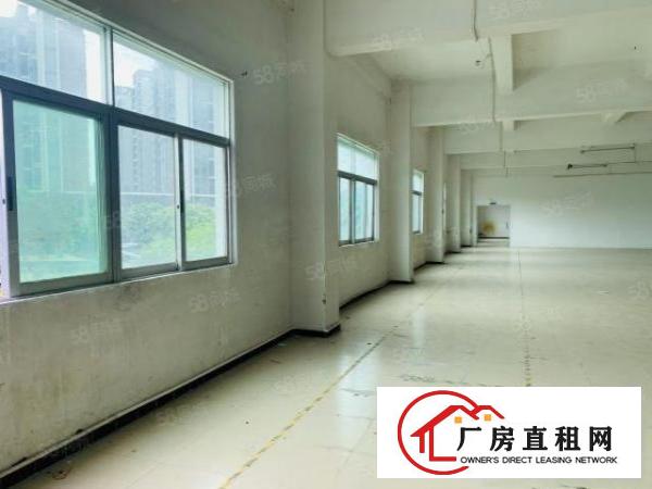 塘厦振兴围新出7380经典独门独院配套齐全形象好