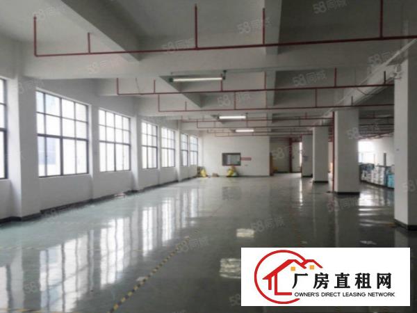  塘厦桥陇刚空出5700平标准独院厂房，现成装修主线，价格美丽
