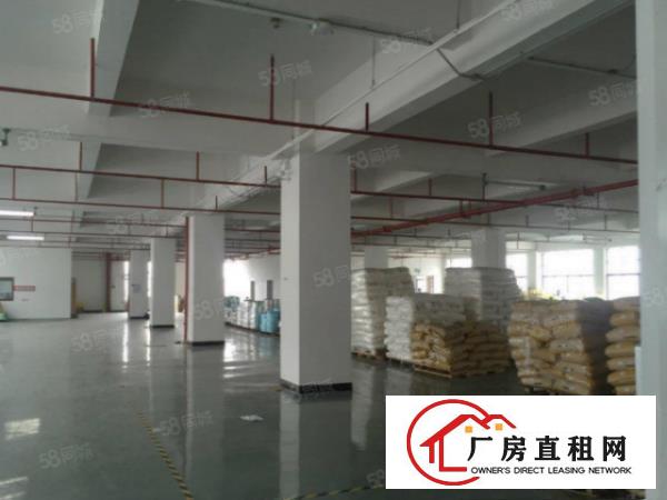  塘厦桥陇刚空出5700平标准独院厂房，现成装修主线，价格美丽
