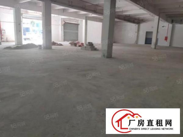  塘厦原房东全新厂房超实用一楼2600平