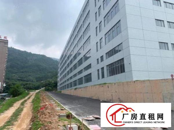  塘厦大坪高速口十三万平产业园，可整租分租，价格美丽