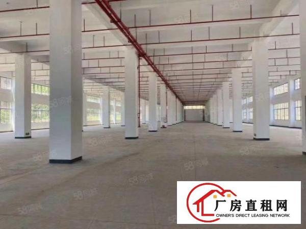  塘厦大坪高速口十三万平产业园，可整租分租，价格美丽