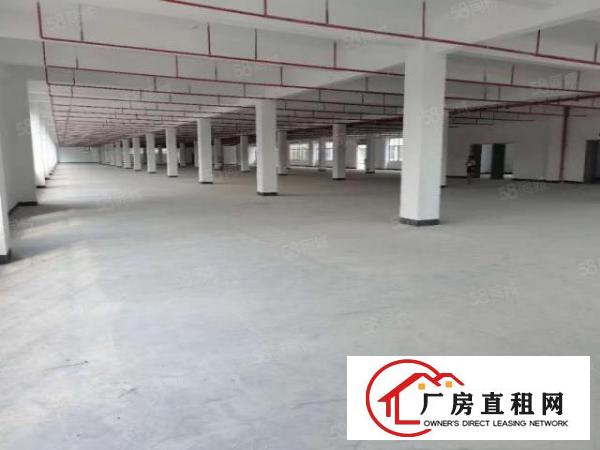  塘厦大坪高速口十三万平产业园，可整租分租，价格美丽