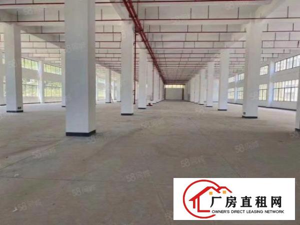  塘厦大坪高速口十三万平产业园，可整租分租，价格美丽