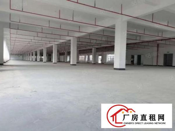  塘厦大坪高速口十三万平产业园，可整租分租，价格美丽