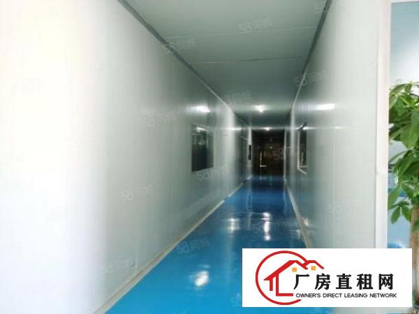  塘厦凤凰岗村委独院厂房8500平方带无尘车间厂房招租