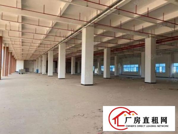  塘厦大型国有证红本厂房12万平方，消防设备齐全，高新产业园
