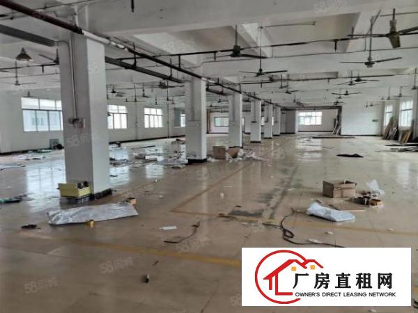  塘厦振兴围原房东2楼1000平方！现成办公室！地板砖精装修