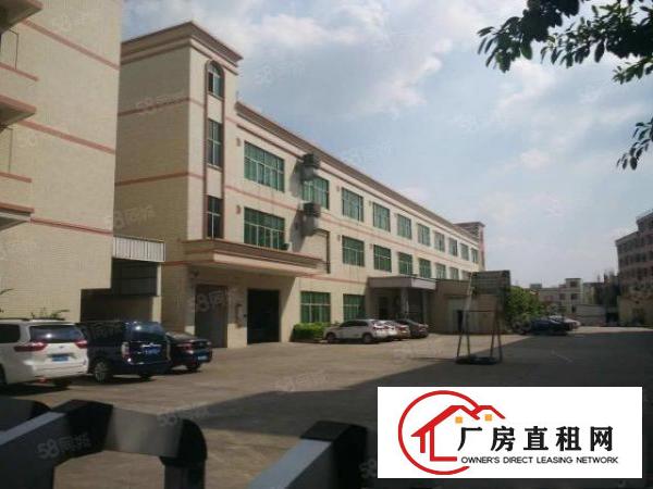 塘厦振兴围原房东2楼1000平方！现成办公室！地板砖精装修