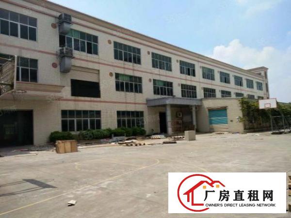  塘厦振兴围原房东2楼1000平方！现成办公室！地板砖精装修