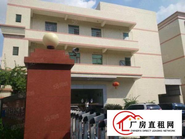  塘厦振兴围原房东2楼1000平方！现成办公室！地板砖精装修