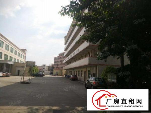  塘厦振兴围原房东2楼1000平方！现成办公室！地板砖精装修