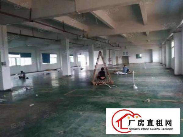  塘厦横塘小独院厂房7380平方，豪华装修，主线到位