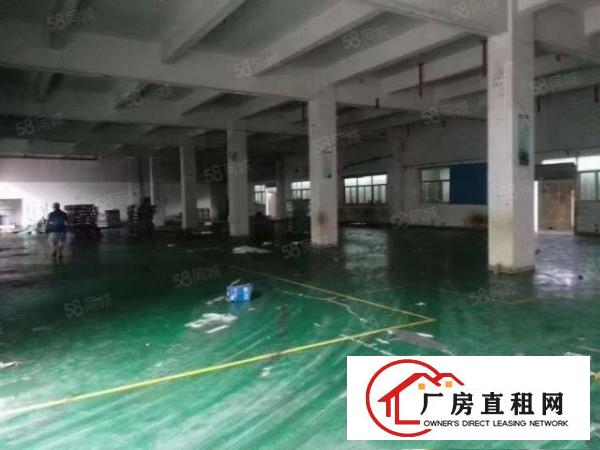 塘厦横塘小独院厂房7380平方，豪华装修，主线到位